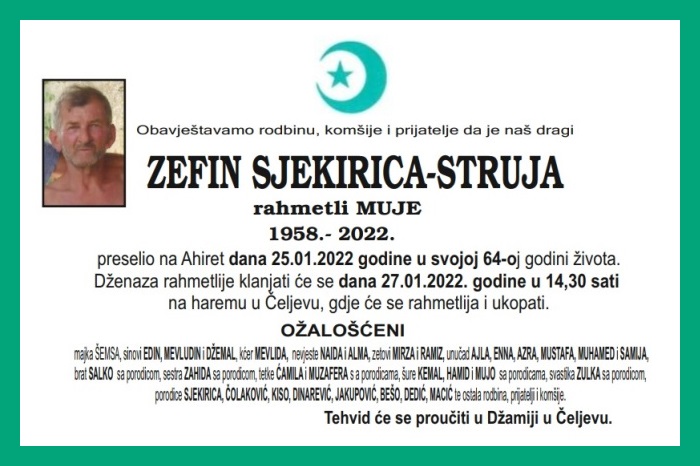 Zefin  Sjekirica-Struja