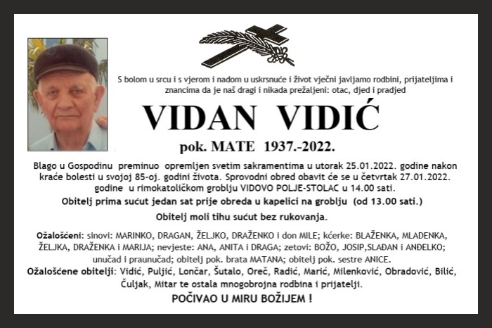 Vidan  Vidić