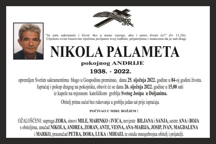 Nikola  Palameta