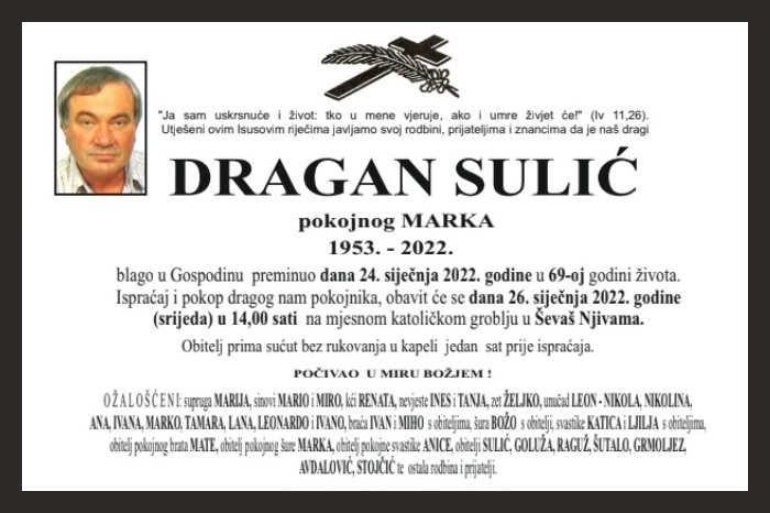 Dragan  Sulić