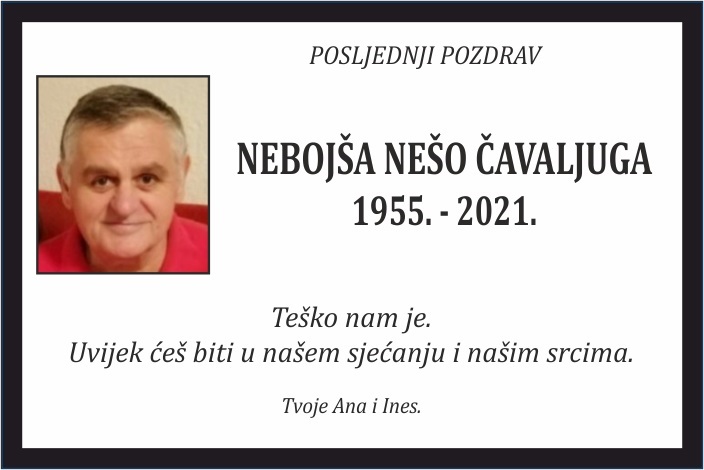 Nebojša Nešo  Čavaljuga
