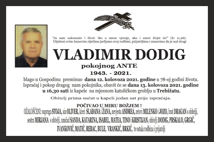 Vladimir  Dodig