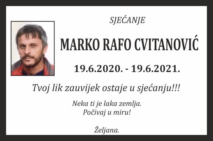 Marko Rafo  Cvitanović