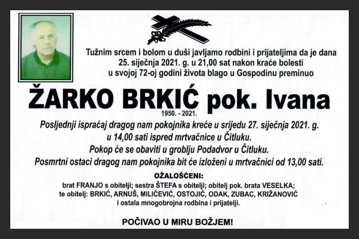Žarko  Brkić