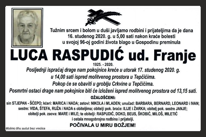 Luca  Raspudić