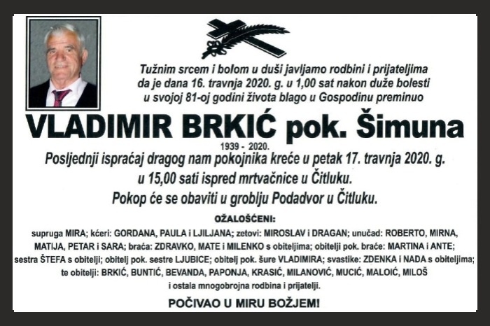 Vladimir  Brkić