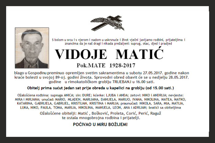 Vidoje  Matić