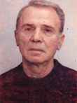 Džemaludin   Mulić