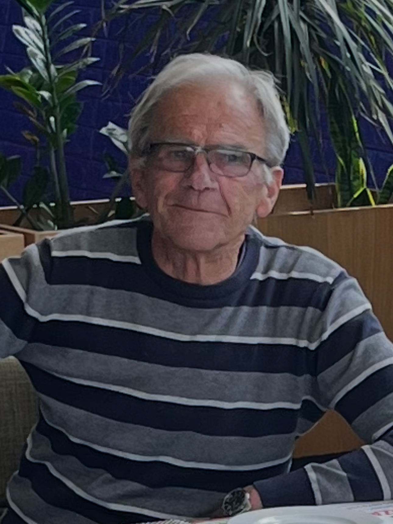 Sulejman  Hajdarević
