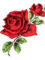             (     In  Memoriam          )