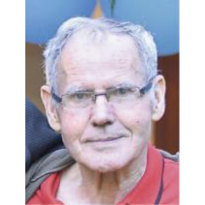 Husejn (Mehmeda) Paravlić