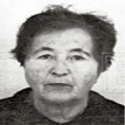 Muvedeta Švabica  Rešidović