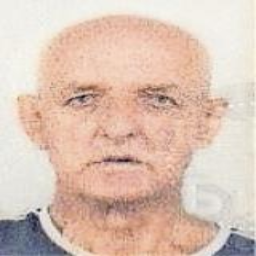 Salih (Selima) Bajrić