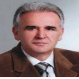 Šemsudin  Haverić