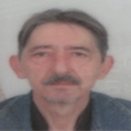 Branislav  Perišić