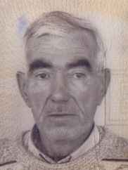Alija (Huso)  Sabljica