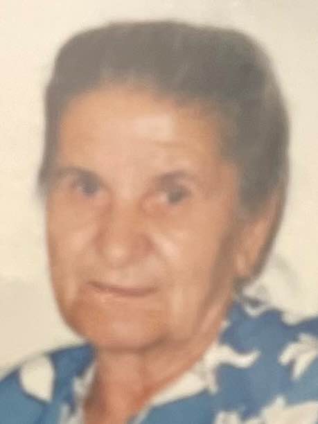 Safija   Mrav