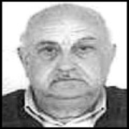 Milorad  Spajić