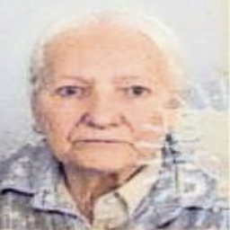 Nezveta (Himze) Mihmić -dje. Kozadra