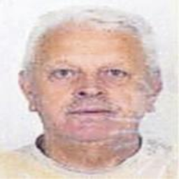 Zijo  Arnautović