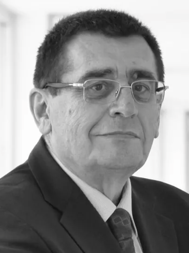 Prof. Dr. Željko  Šain