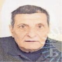Ferid  Pločo