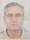 Teufik  (Azema) Salkanović