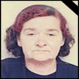 Ruža  Čavar