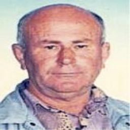 Uzeir  Salishpahić