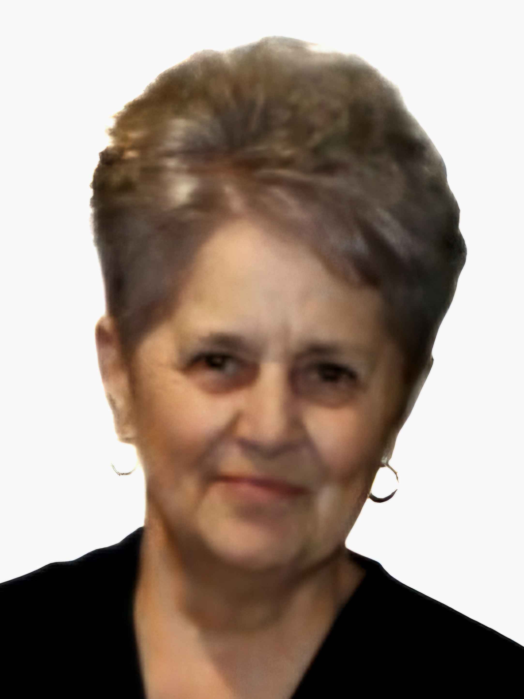 Elvedina  Efendić -dje. Herak