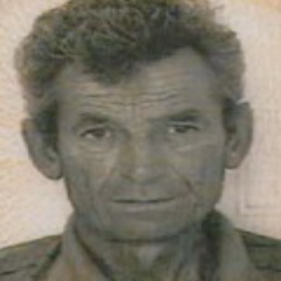 Ratko  Ivić