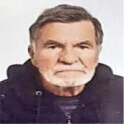 Sefo  Ćatić