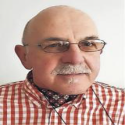 Nedžad  Sarajlić
