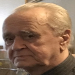 Bahrudin  Efendić