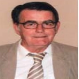 Džemal  Vučković