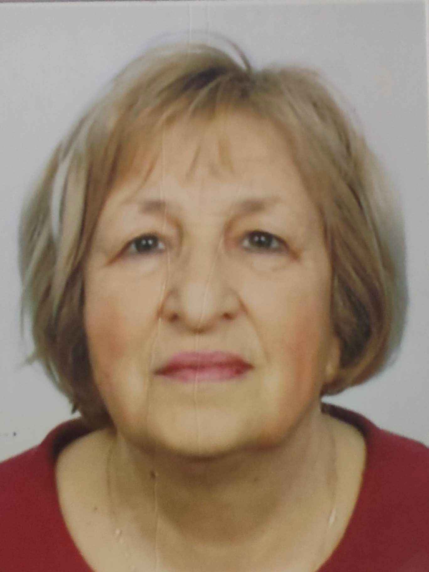 Šahzudina  Merdžo -dje. Kapetanović