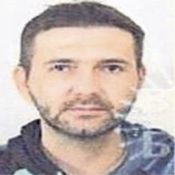 Adis  Sinanović