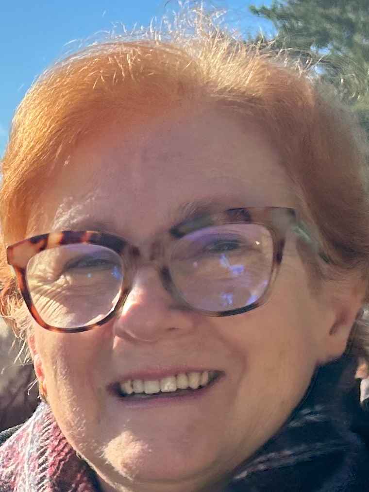 Velida  Mehić