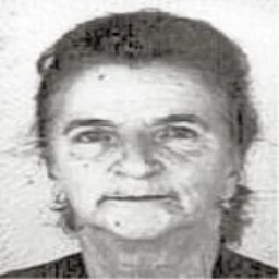 Ramiza  Ćurtić