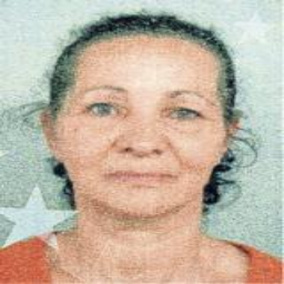 Sliva  Avdić -dje. Milić