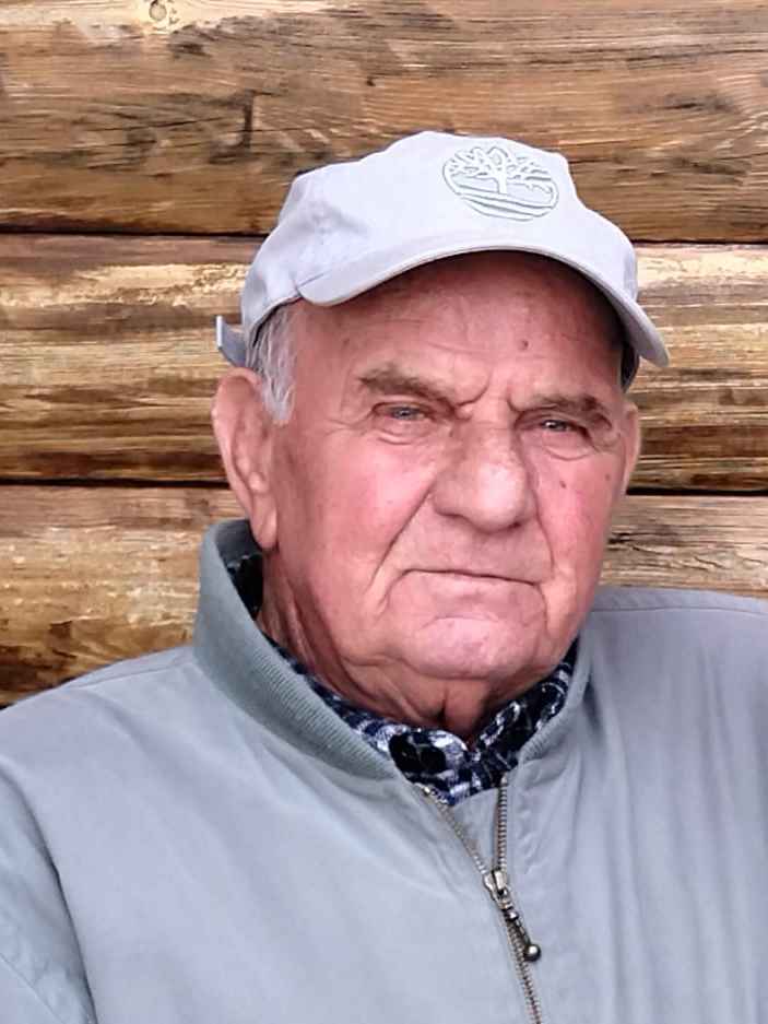 Dževad  Hajdarević