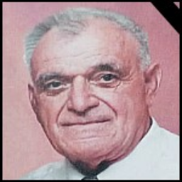 Anđelak  Ljubić