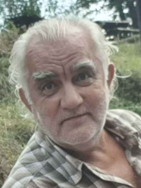 Merim   Pašić