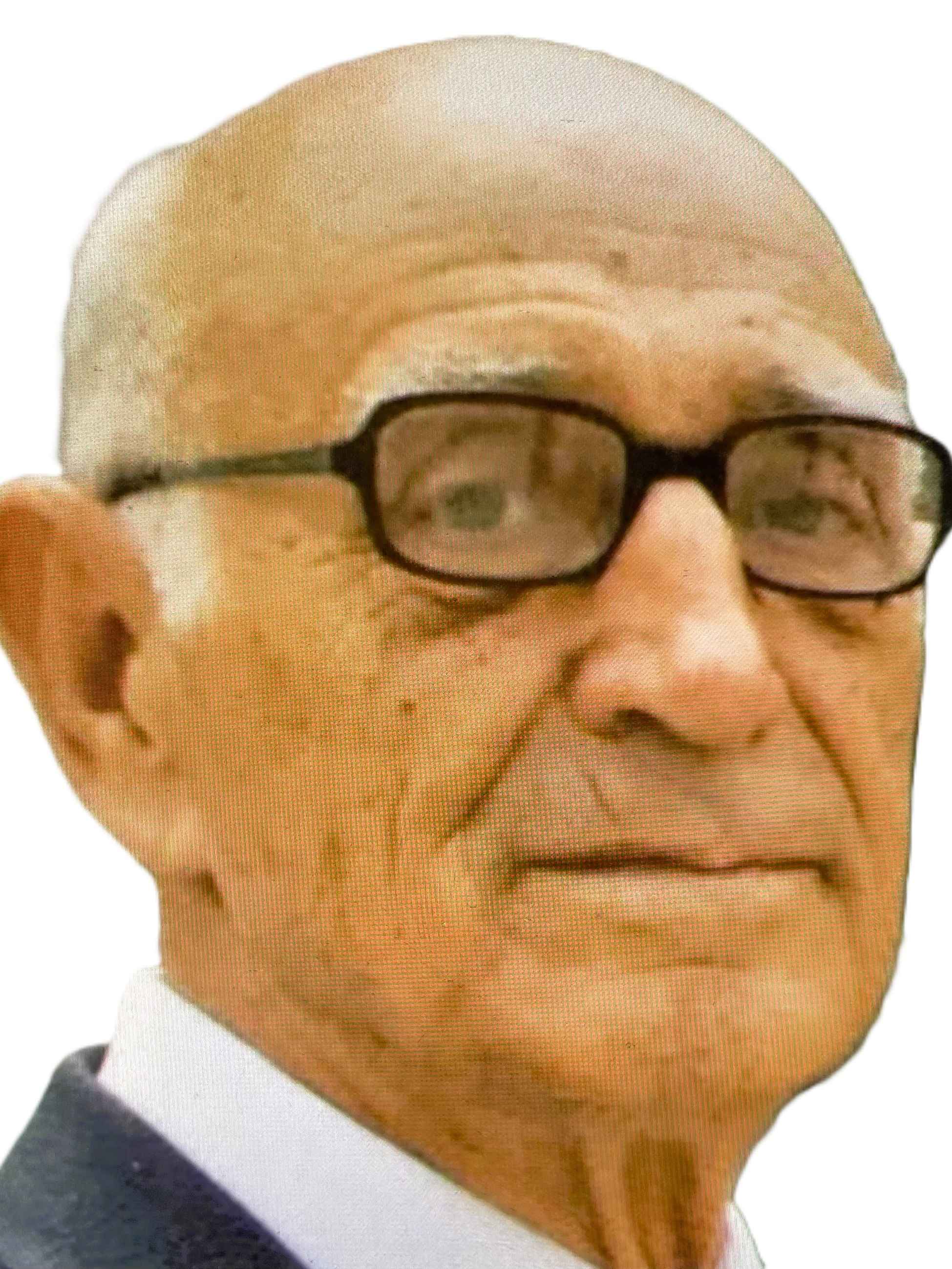 General Hasan   Efendić