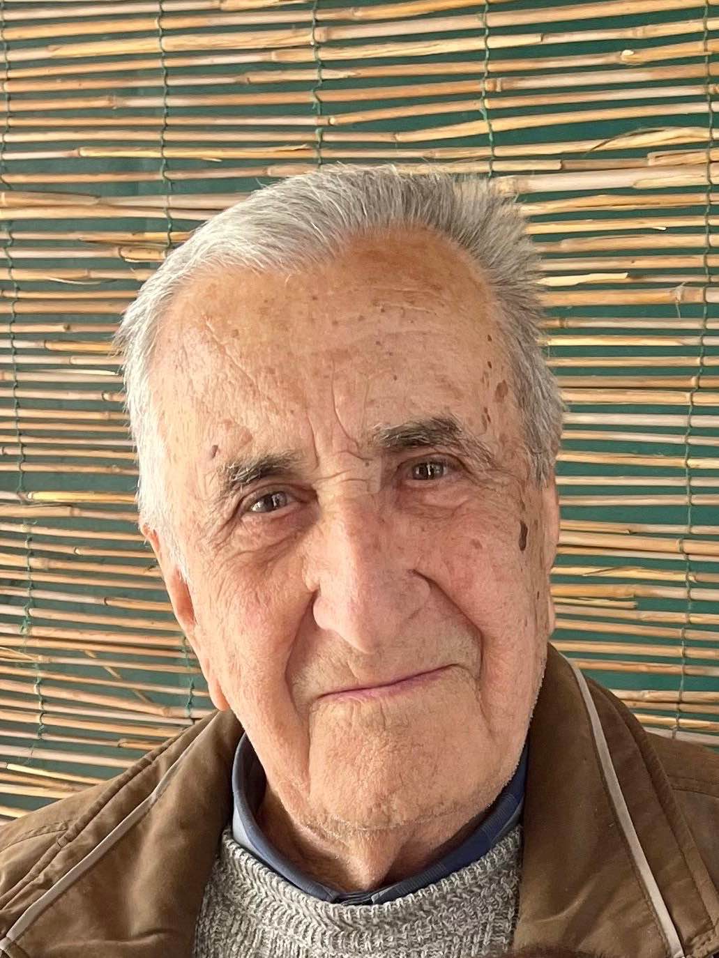 Kemal (Ago) Efendić