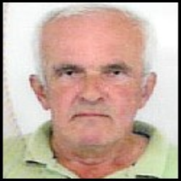 Mirsad  Selimotić