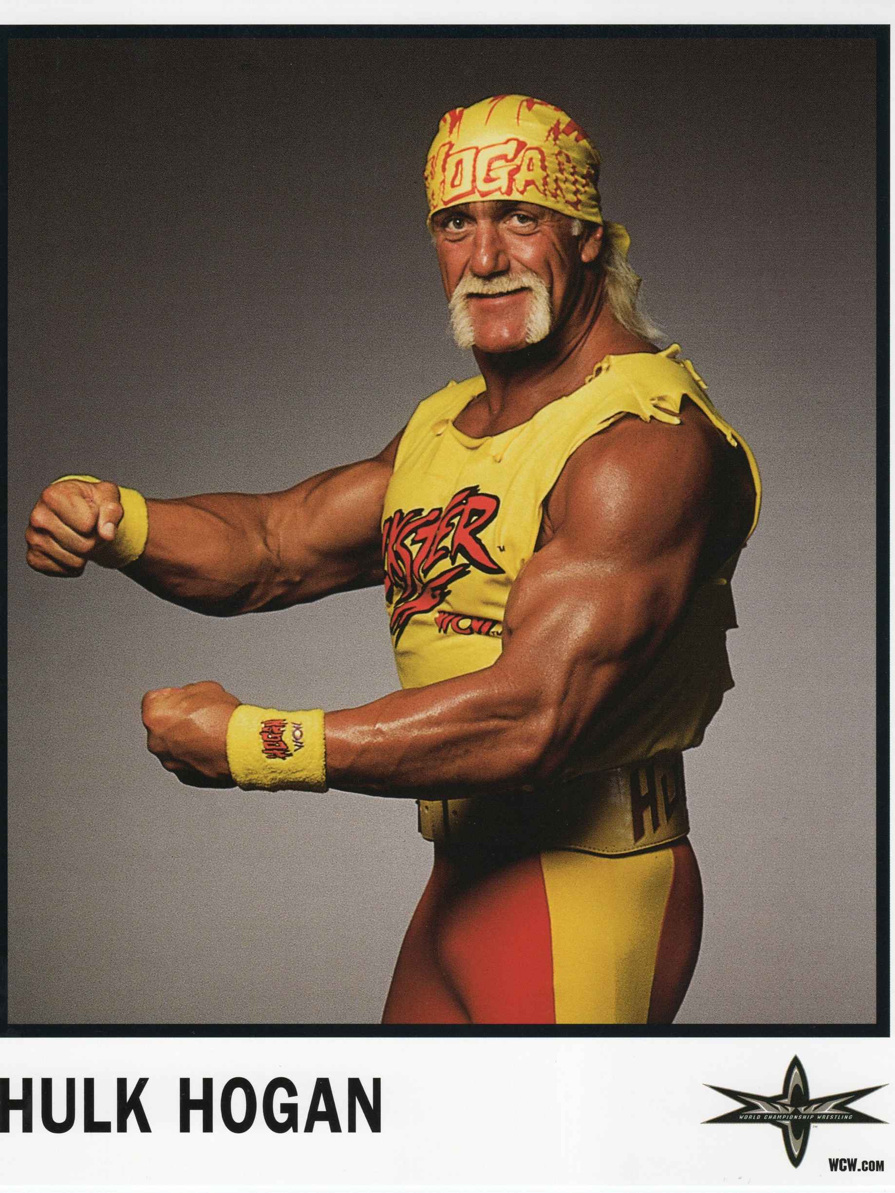 Hulk  Hogan