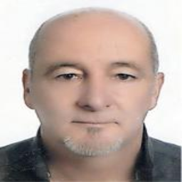 Mevludin  Avdić