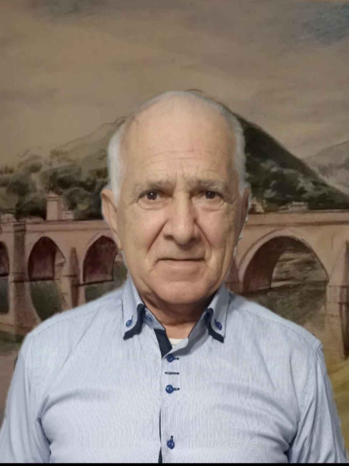 Salema  Medića