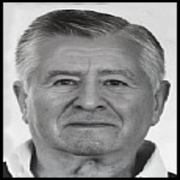 Mladen  Volarić